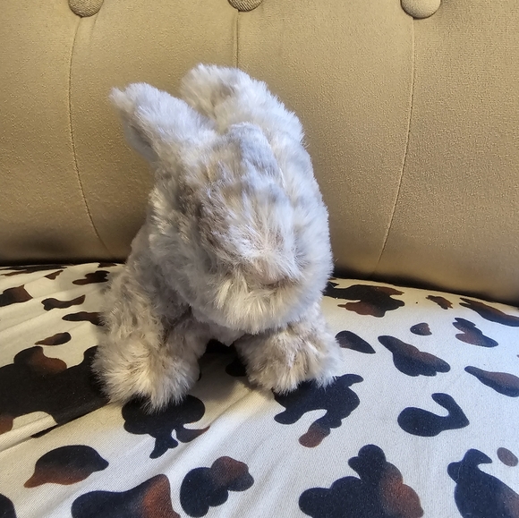 Douglas Grey Rabbit - Picture 3 of 5